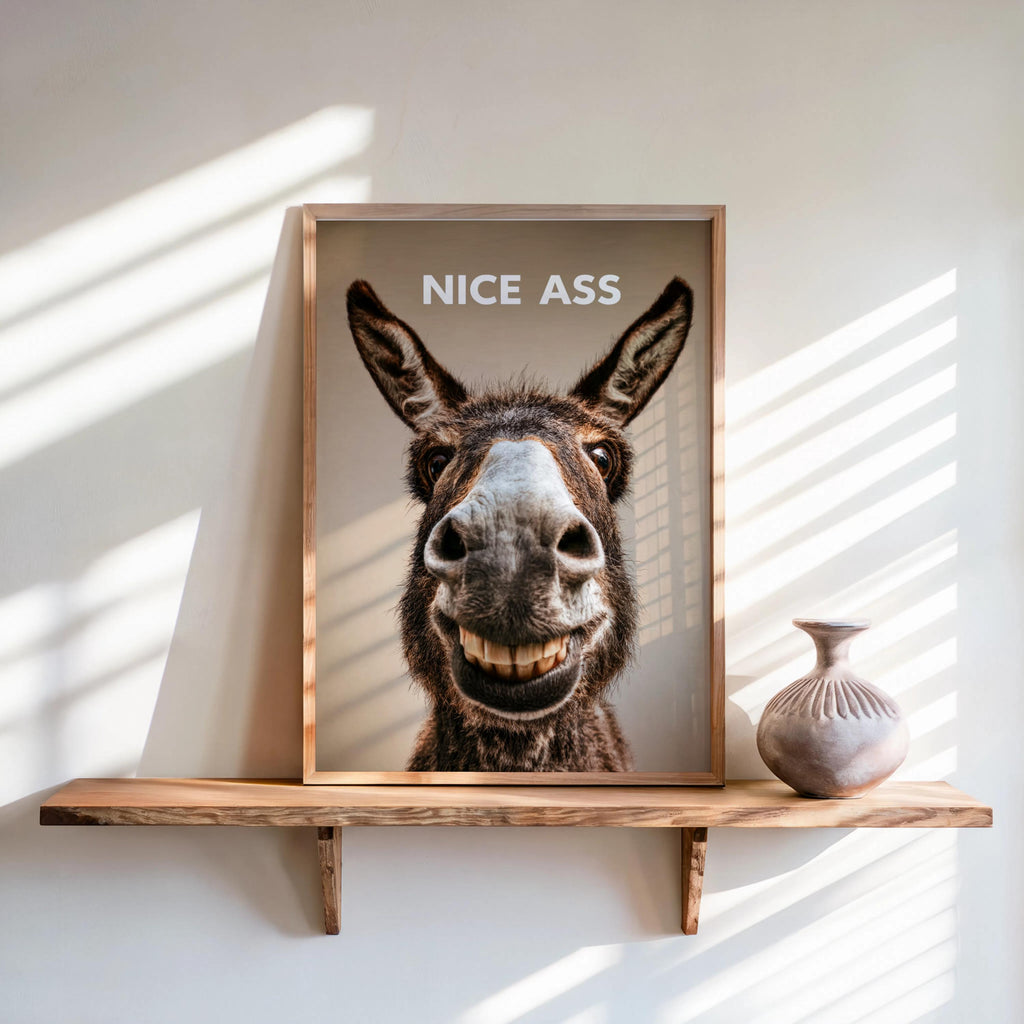 Cream wall setting with framed funny donkey bathroom sign on shelf, smiling donkey, playful downstairs loo print