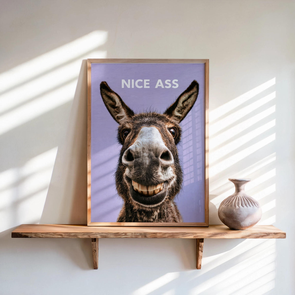 Purple backed funny donkey bathroom sign on shelf, sunlit stripes, cheeky downstairs loo print with personality