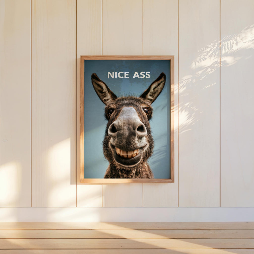 Saturated teal funny donkey bathroom sign centered on white wall, rustic frame, bold NICE ASS message visible