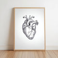 Anatomical Heart Line Art Print, Medical Office Decor, Minimalist Doctor Illustration