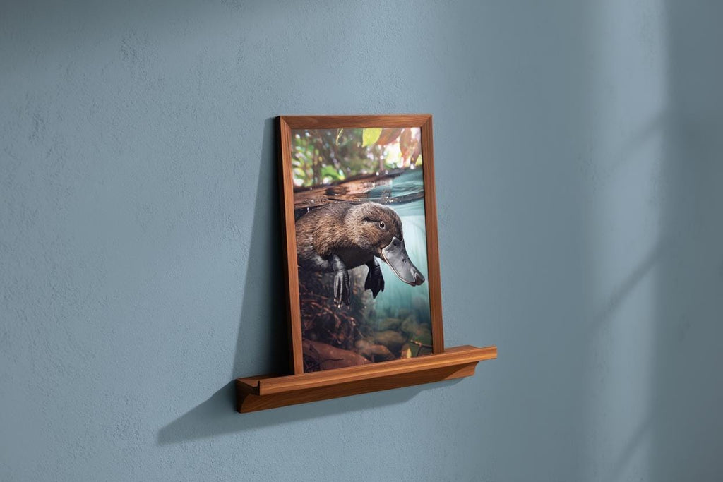 Swimming Platypus Watercolor Painting - Australian Nature Nursery Print - Adventure Themed Kids Room Decor - Realistic Wildlife Animal Gift