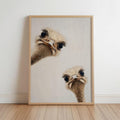 ostrich duo peeking