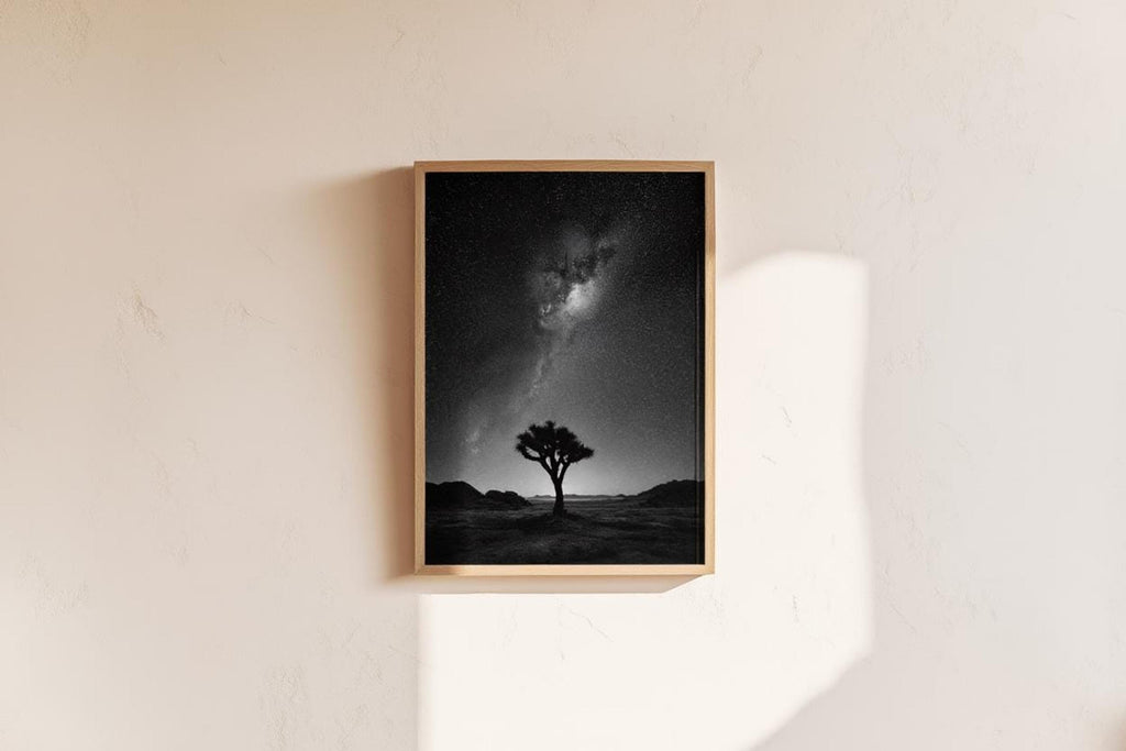 Small recessed niche holding framed joshua tree night sky wall art, bright sun patch on plaster backdrop