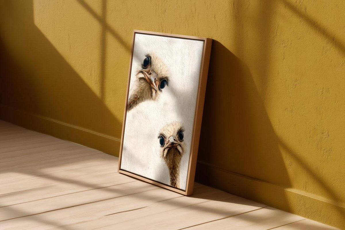 ostrich duo peeking
