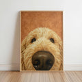 Golden Doodle Dog Nose Art Print, Fluffy Puppy Pet Poster, Funny Animal Portrait, Dog Lover Gift, Goldendoodle Decor
