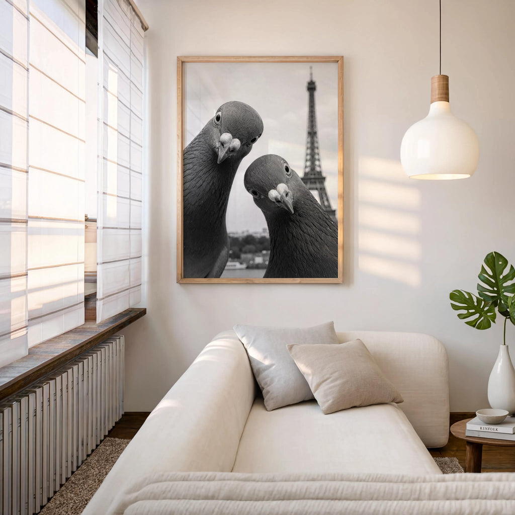 Sunlit modern room with framed pigeon art hung above a white sofa, warm tones and playful surreal Paris imagery, funny pigeon wall art