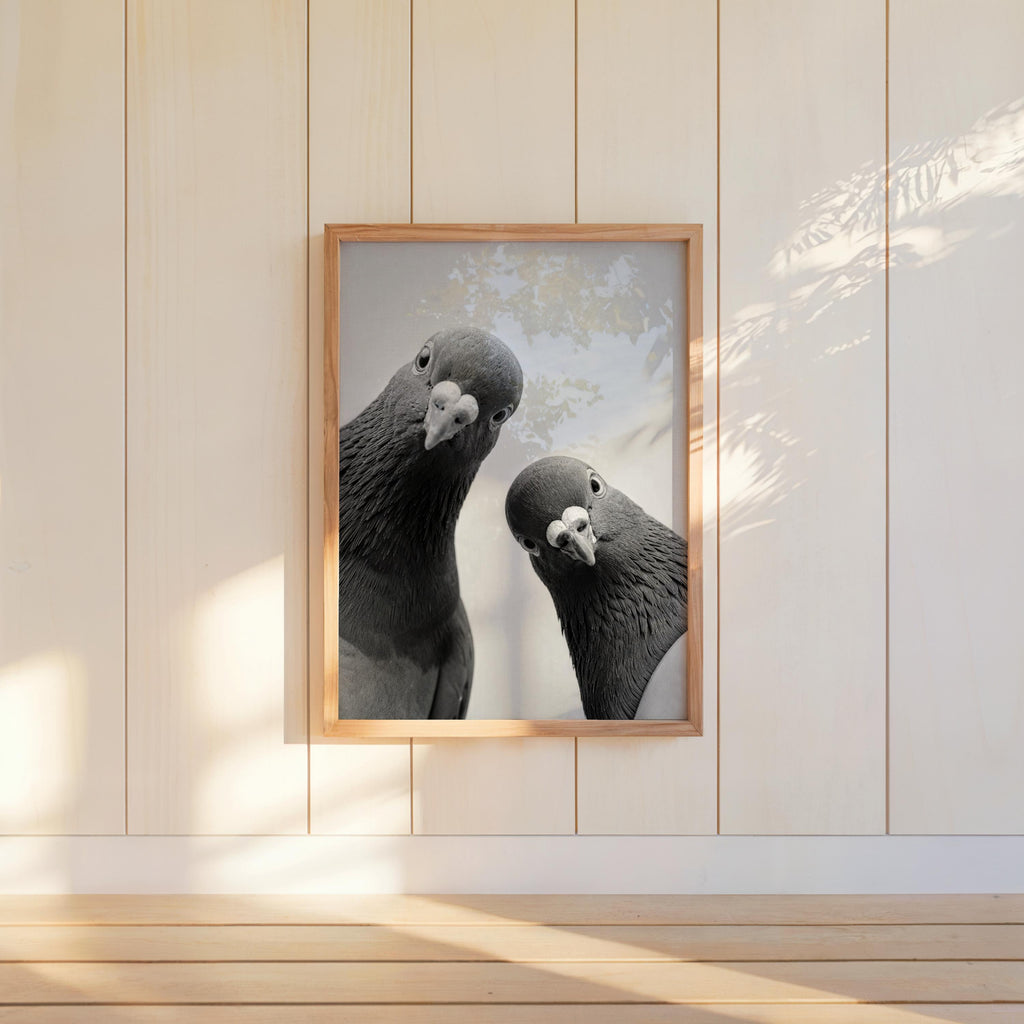 Two Pigeons Print, Vintage Birds Wall Art, Funny Urban Wildlife Poster, Digital Black White Photography, Quirky City Bird Lover Gift