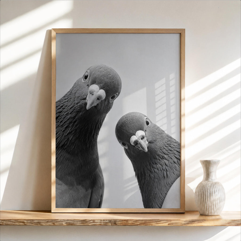 Two Pigeons Print, Vintage Birds Wall Art, Funny Urban Wildlife Poster, Digital Black White Photography, Quirky City Bird Lover Gift
