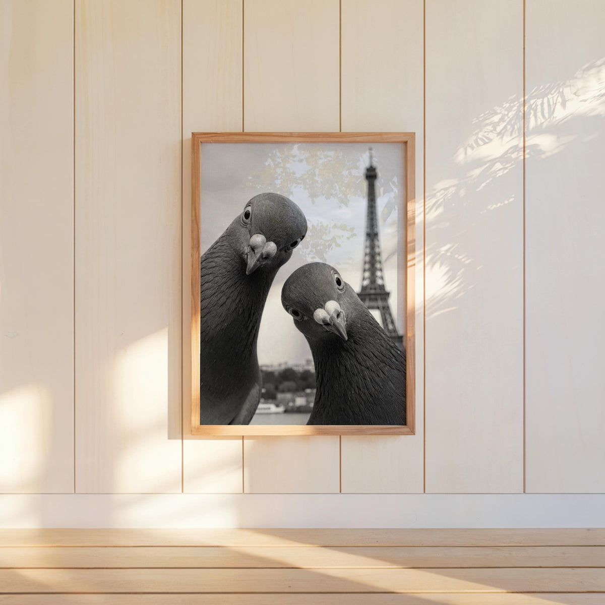 Light paneled wall with mounted framed pigeon print, close-up curious birds and distant Eiffel Tower, funny pigeon wall art