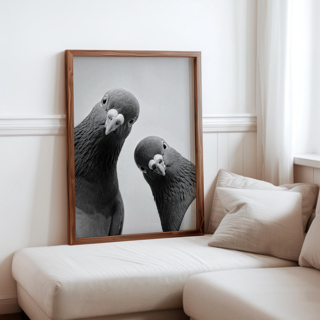 Two Pigeons Print, Vintage Birds Wall Art, Funny Urban Wildlife Poster, Digital Black White Photography, Quirky City Bird Lover Gift