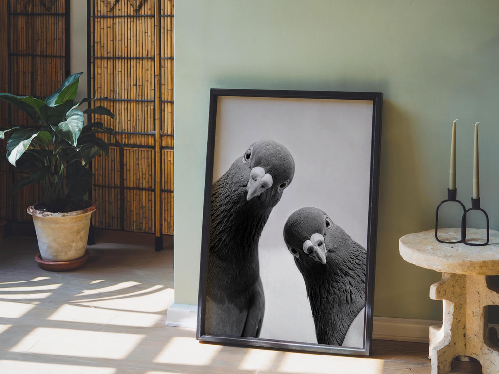 Two Pigeons Print, Vintage Birds Wall Art, Funny Urban Wildlife Poster, Digital Black White Photography, Quirky City Bird Lover Gift
